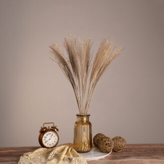GLOBOSTAR® MISCANTHUS 36535 Αποξηραμένο Διακοσμητικό Μπουκέτο Μίσχανθος - Μπεζ - Μ20 x Π20 x Υ60cm - Πακέτο 20 Τεμαχίων